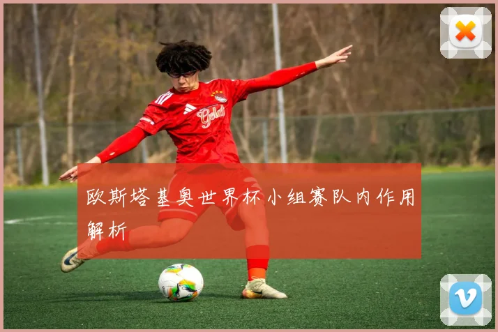 欧斯塔基奥世界杯小组赛队内作用解析