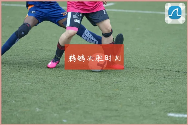 鹈鹕决胜时刻