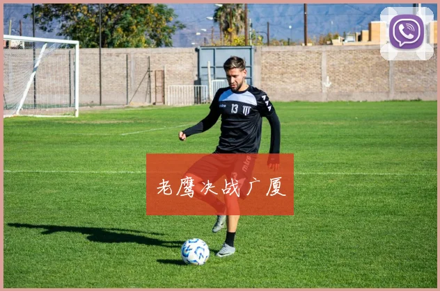 老鹰决战广厦