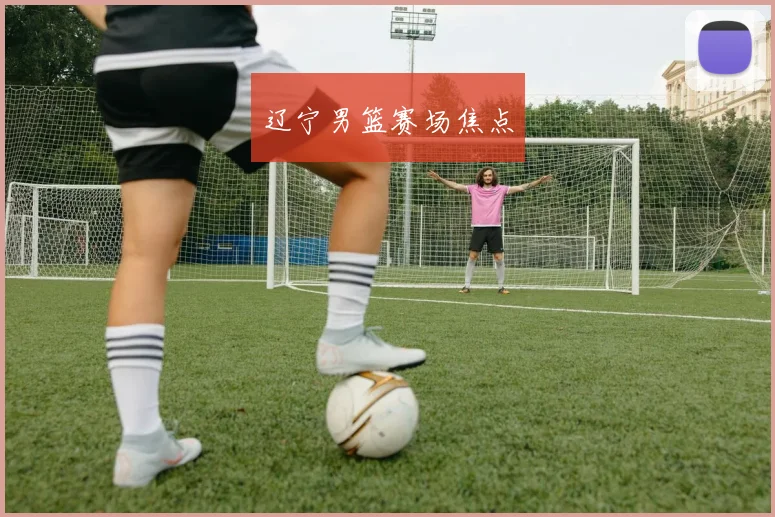 辽宁男篮赛场焦点