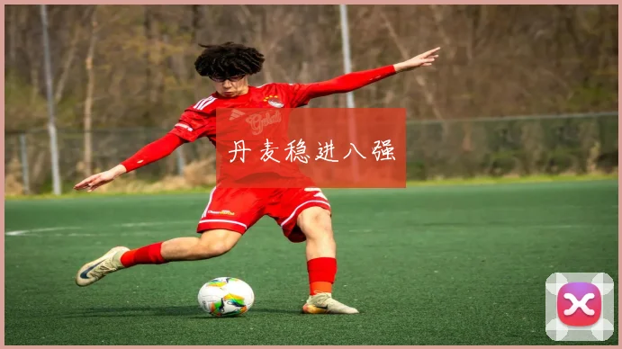 丹麦稳进八强