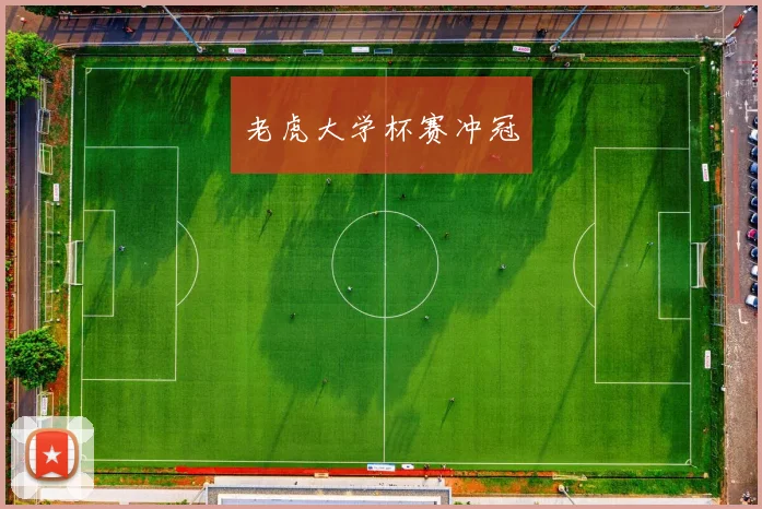 老虎大学杯赛冲冠