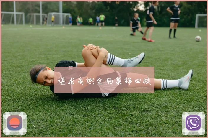 谌龙高燃全场集锦回顾