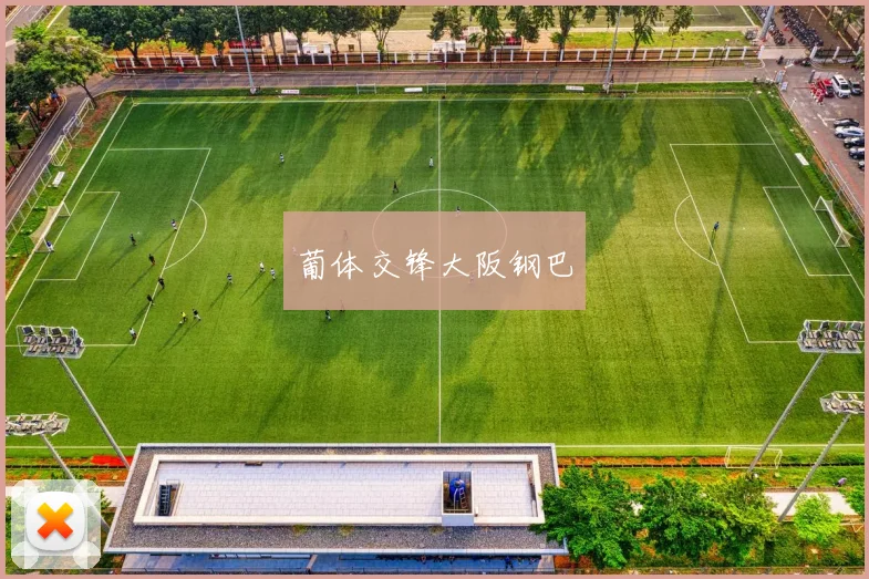 葡体交锋大阪钢巴