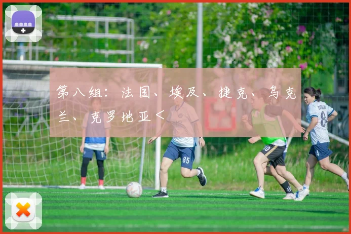 第八组：法国、埃及、捷克、乌克兰、克罗地亚＜