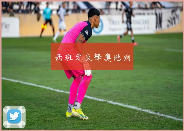 西班牙交锋奥地利
