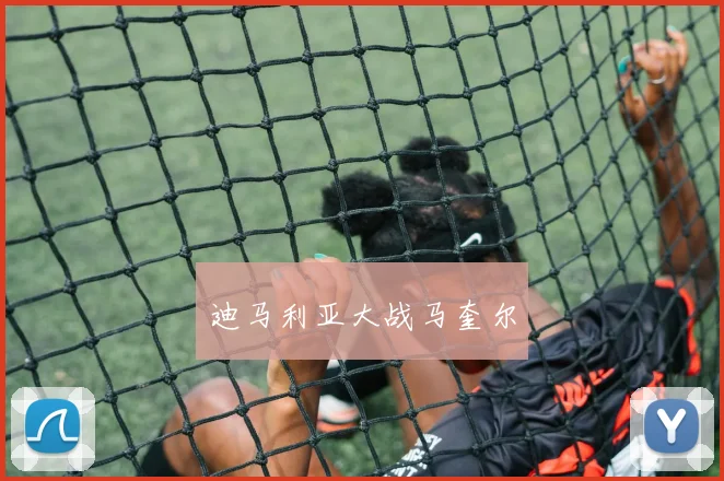 迪马利亚大战马奎尔