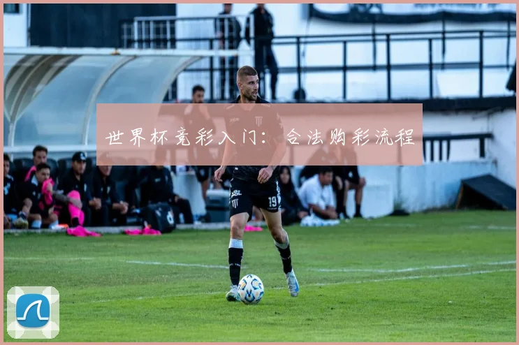 世界杯竞彩入门：合法购彩流程