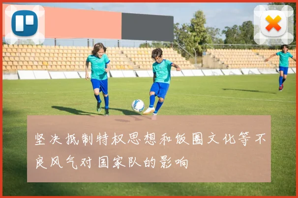 坚决抵制特权思想和饭圈文化等不良风气对国家队的影响