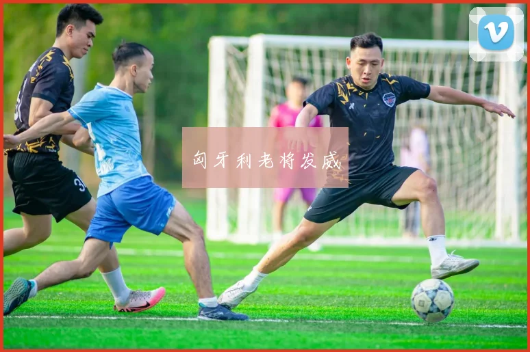 匈牙利老将发威