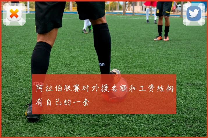 阿拉伯联赛对外援名额和工资结构有自己的一套