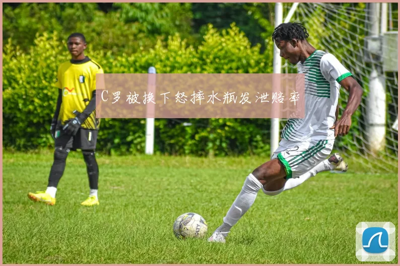 C罗被换下怒摔水瓶发泄赔率