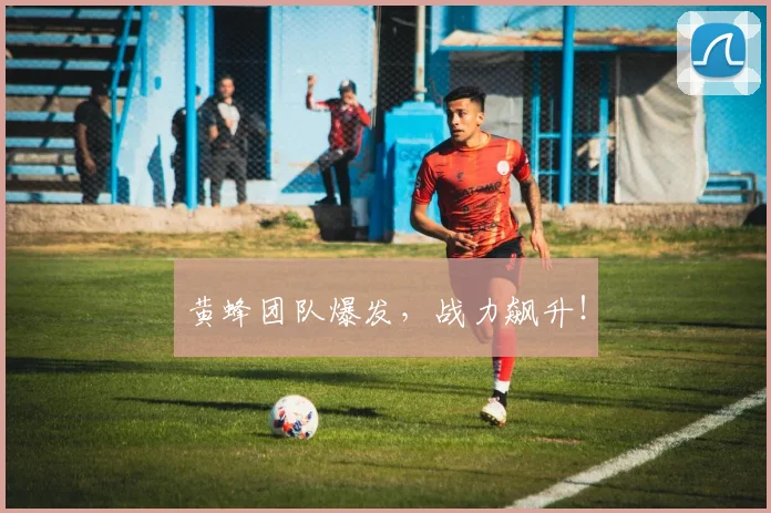 黄蜂团队爆发，战力飙升！