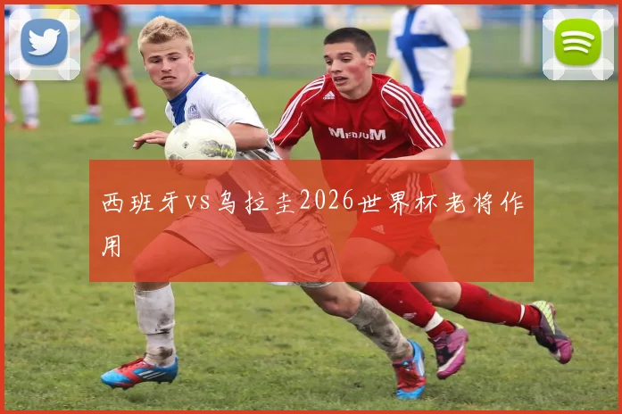 西班牙vs乌拉圭2026世界杯老将作用