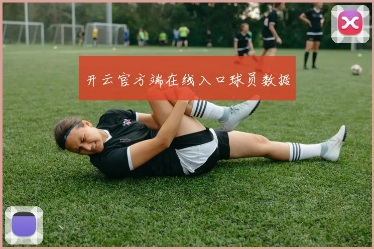 开云官方端在线入口球员数据