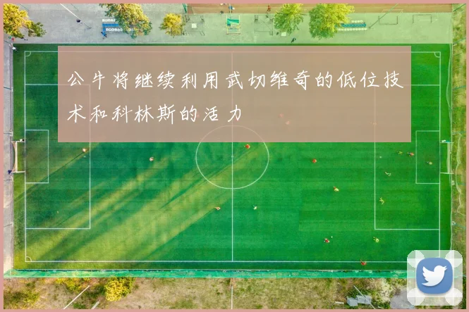 公牛将继续利用武切维奇的低位技术和科林斯的活力