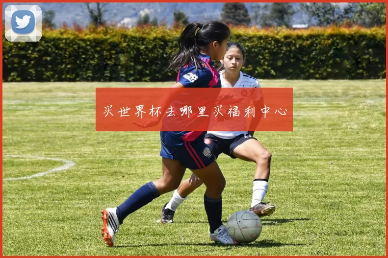 买世界杯去哪里买福利中心