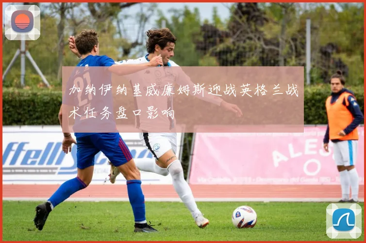 加纳伊纳基威廉姆斯迎战英格兰战术任务盘口影响