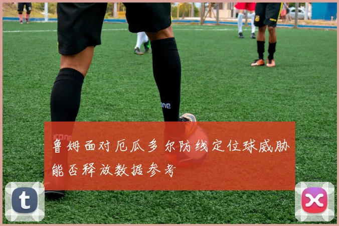 鲁姆面对厄瓜多尔防线定位球威胁能否释放数据参考