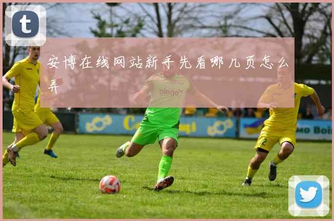 安博在线网站新手先看哪几页怎么弄