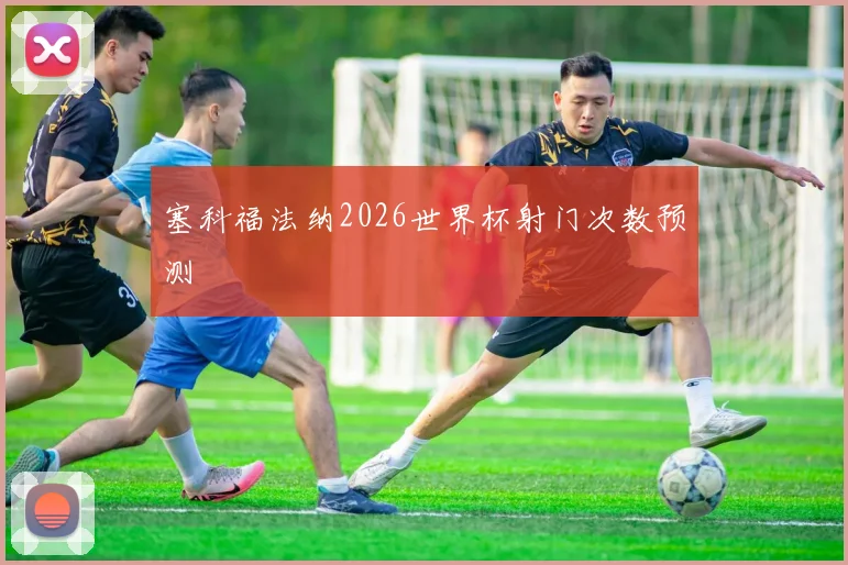 塞科福法纳2026世界杯射门次数预测