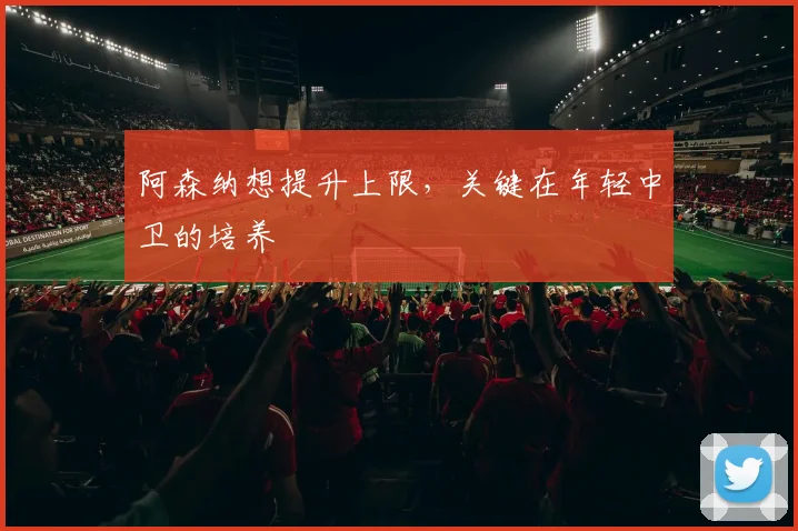 阿森纳想提升上限,关键在年轻中卫的培养