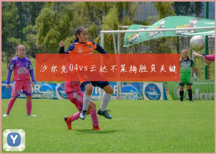 沙尔克04vs云达不莱梅胜负关键