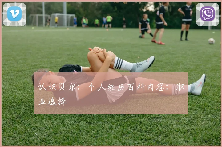 认识贝尔：个人经历百科内容：职业选择